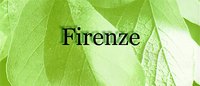 Firenze Tower II Logo